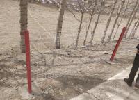 桃型柱護欄網的（de）結構特點